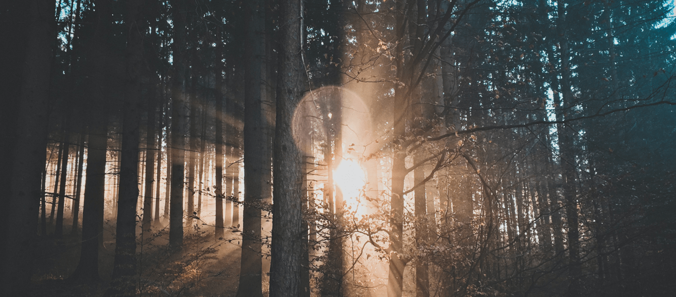 Edge Securities Pvt. Ltd.